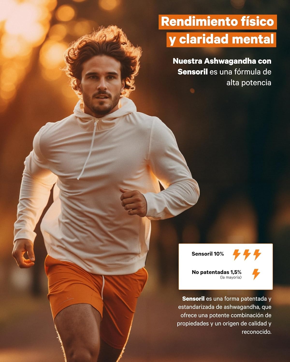 Ashwagandha High Potency